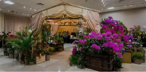 Denver Orchid Society's "Orchid Fiesta"