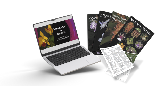 Sitewide banner image