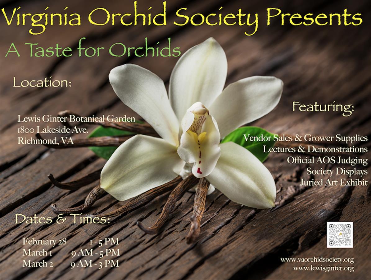 Virginia Orchid Society Show