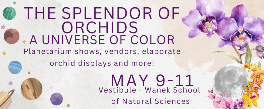Triad Orchid Society's "The Splendor of Orchids: A Universe of Color"