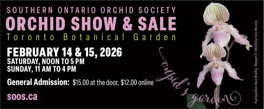 Southern Ontario Orchid Society’s “Cupid's Garden" Annual Show and Sale