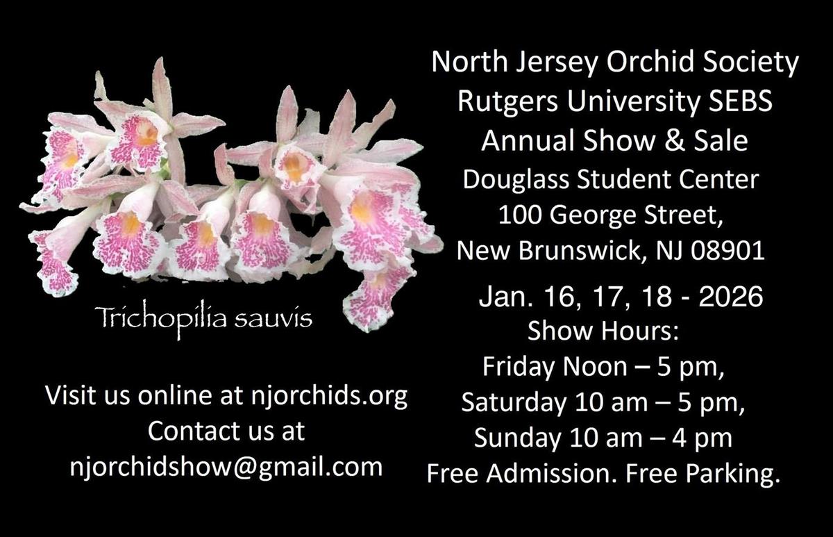 North Jersey Orchid Society Show