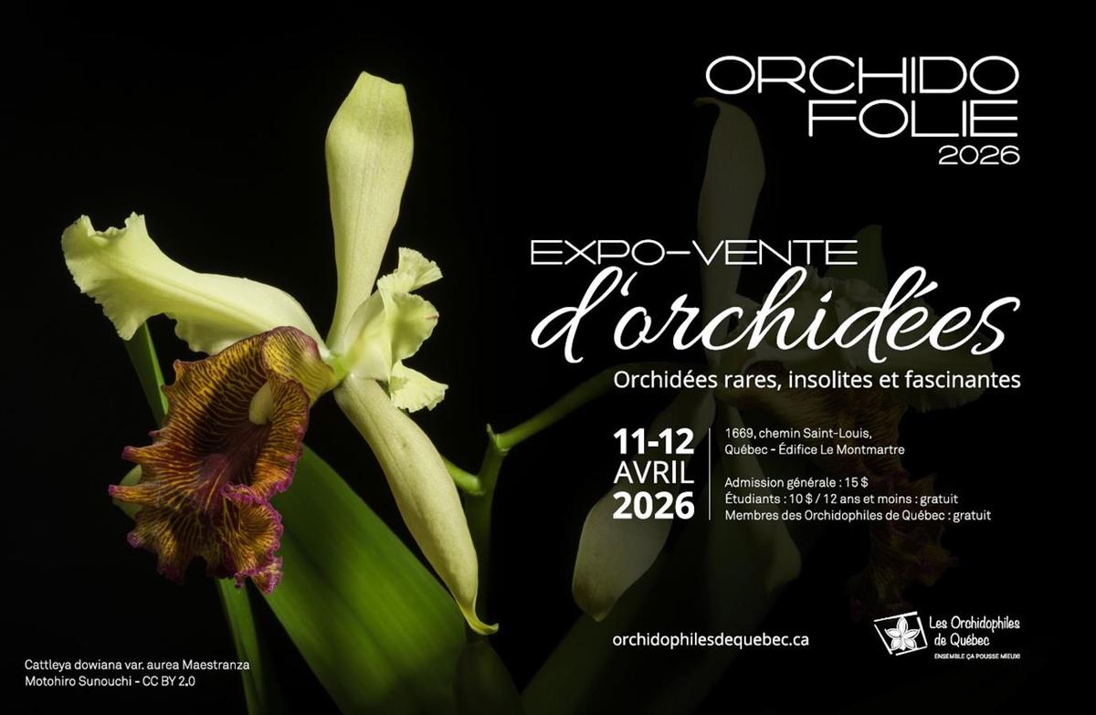 Les Orchidophiles de Quebec "Orchidofolie 2026"