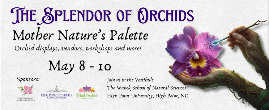 Triad Orchid Society's "The Splendor of Orchids: Mother Nature's Palette"