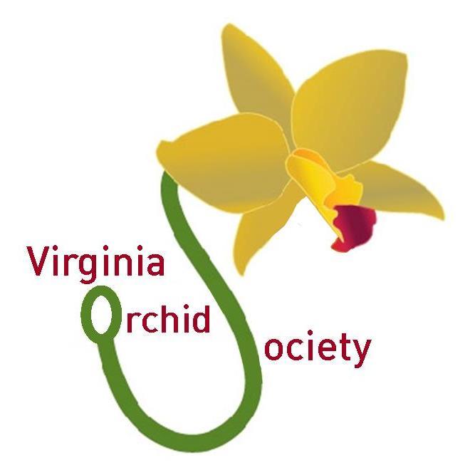 Virginia Orchid Society Outreach Judging