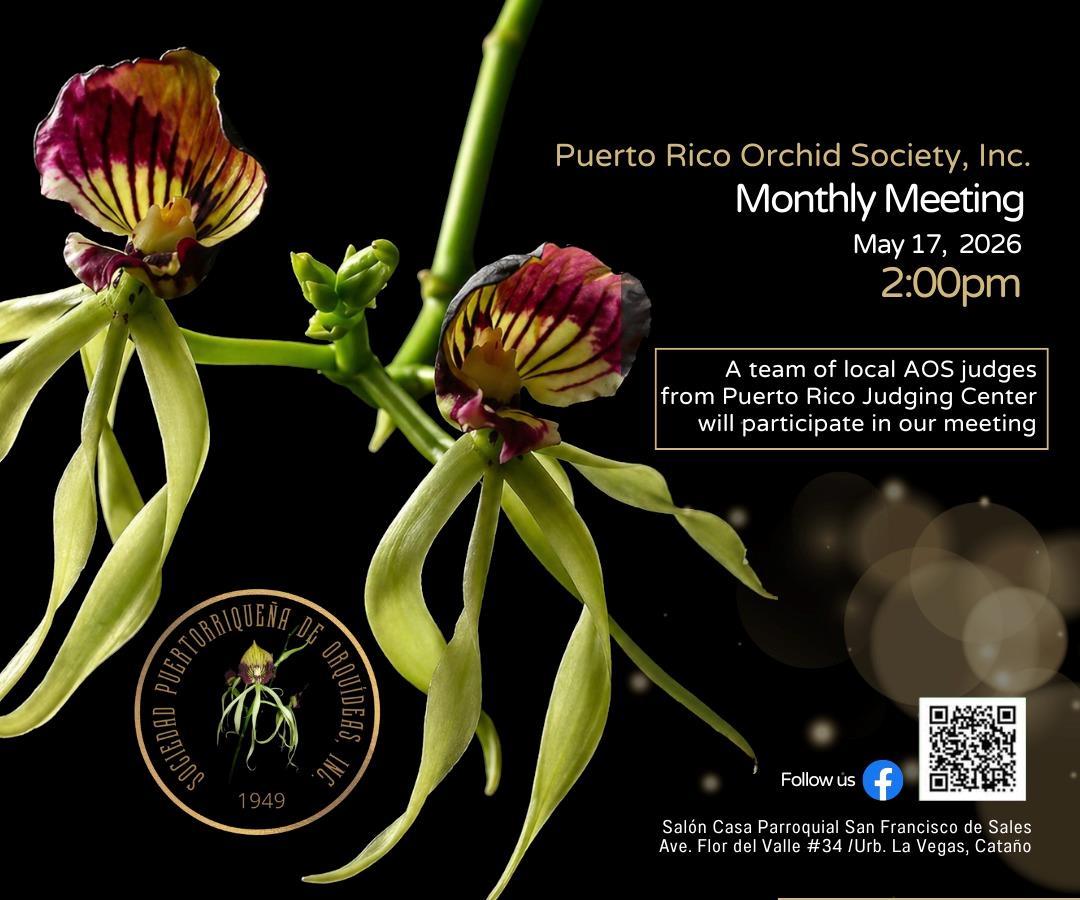Puerto Rico Orchid Society – Outreach Judging