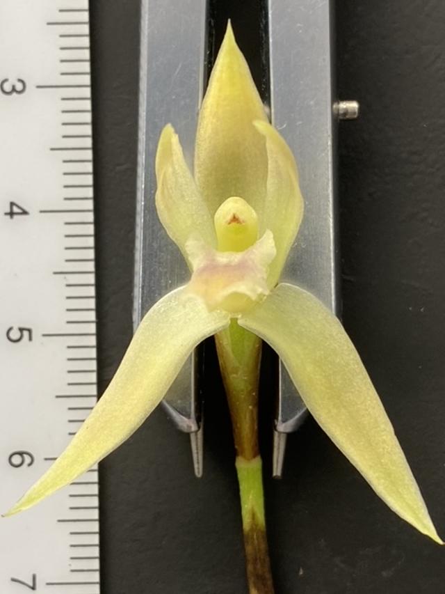 Name