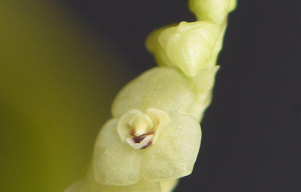 Name